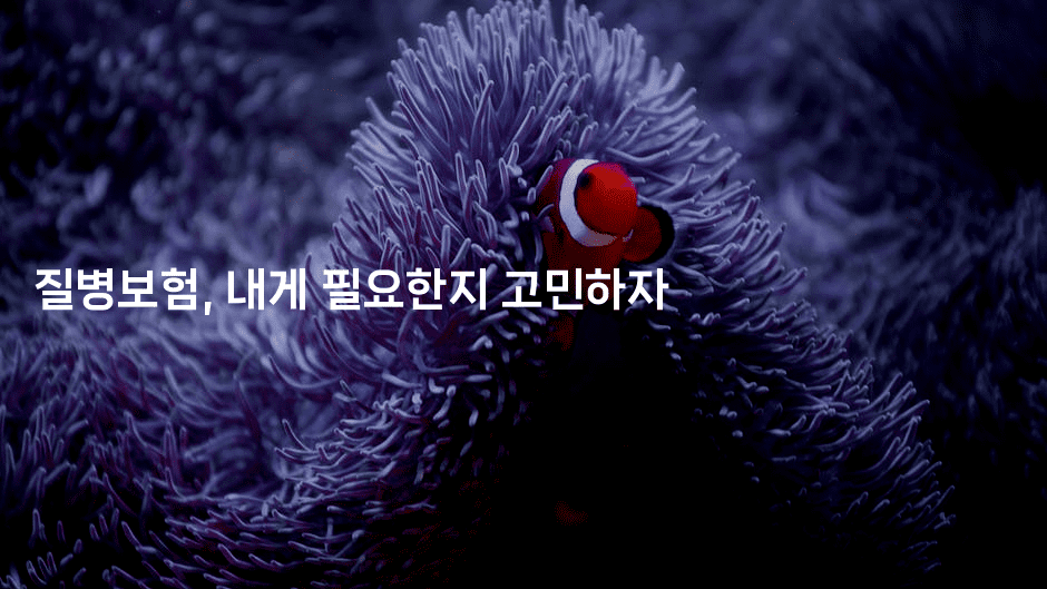 질병보험, 내게 필요한지 고민하자2-보험우산