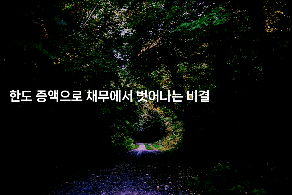 한도 증액으로 채무에서 벗어나는 비결-보험우산