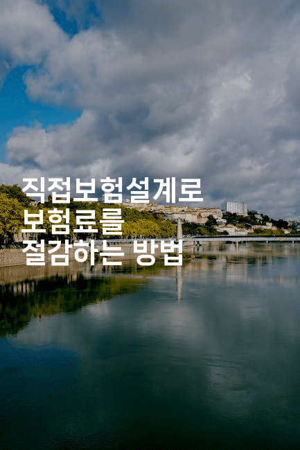 직접보험설계로 보험료를 절감하는 방법 2-보험우산