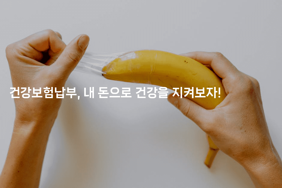 건강보험납부, 내 돈으로 건강을 지켜보자!2-보험우산