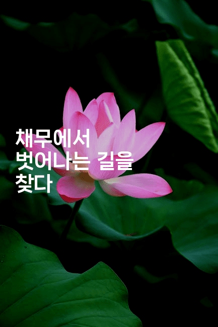 채무에서 벗어나는 길을 찾다-보험우산