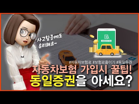 자동차보험 가입할때 핵 꿀팁! 이거 알면 할증도 줄일 수 있다? (feat. 동일증권)