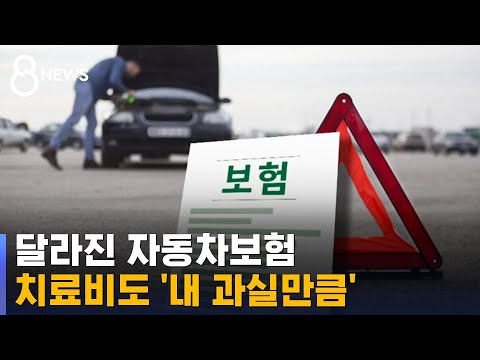 달라진 자동차보험…치료비도 내 과실만큼 낸다 / SBS 8뉴스