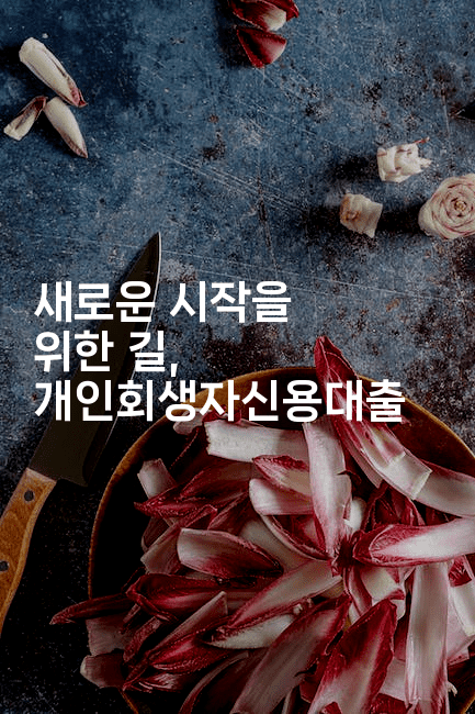 새로운 시작을 위한 길, 개인회생자신용대출-보험우산