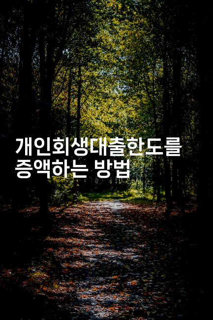 개인회생대출한도를 증액하는 방법-보험우산