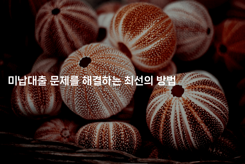 미납대출 문제를 해결하는 최선의 방법-보험우산