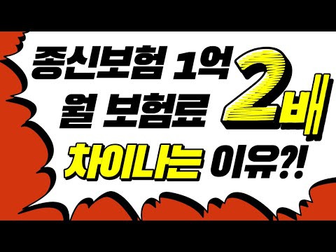 종신보험 1억! 월 보험료 2배 차이 나는 이유는???