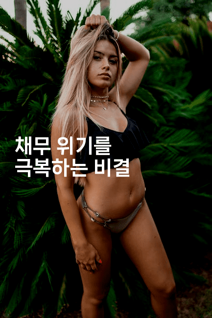 채무 위기를 극복하는 비결