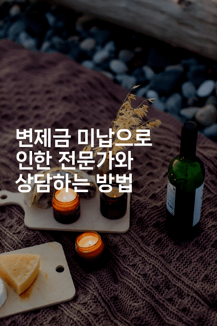 변제금 미납으로 인한 전문가와 상담하는 방법-보험우산